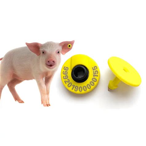 proper rfid tag placement for swine|pa swine rfid tags.